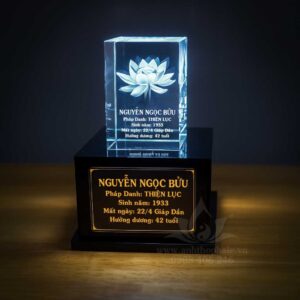 Hũ thạch táng tro cốt khắc hoa sen 6x9x6cm